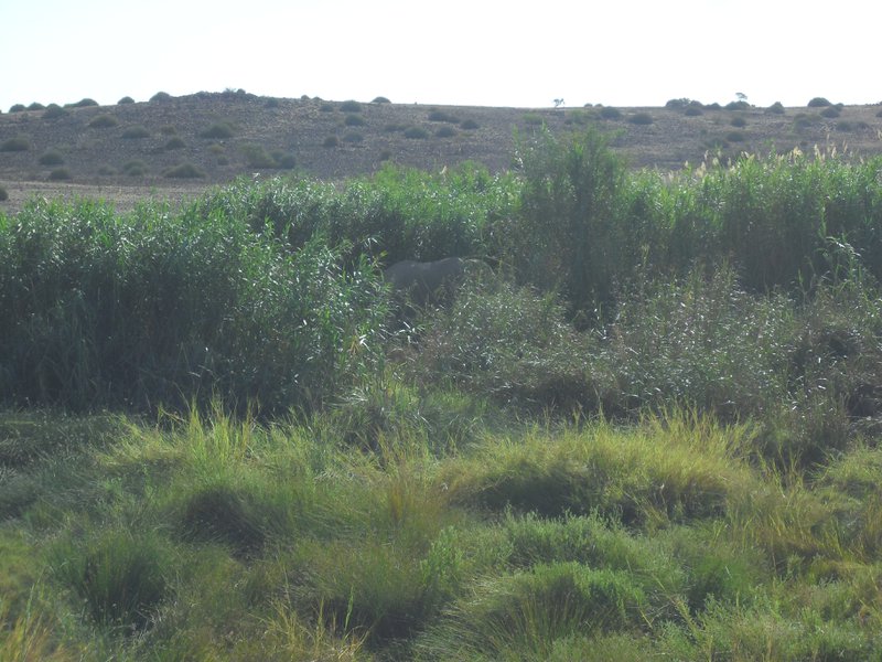 Image CIMG8207.JPG