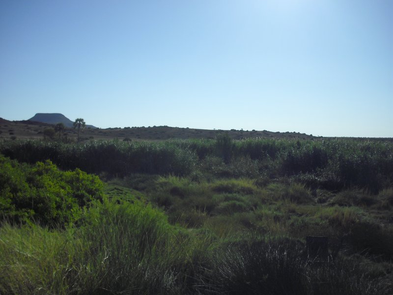 Image CIMG8209.JPG