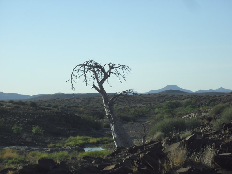 Image CIMG8217.JPG