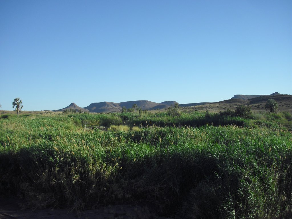 Image CIMG8218.JPG