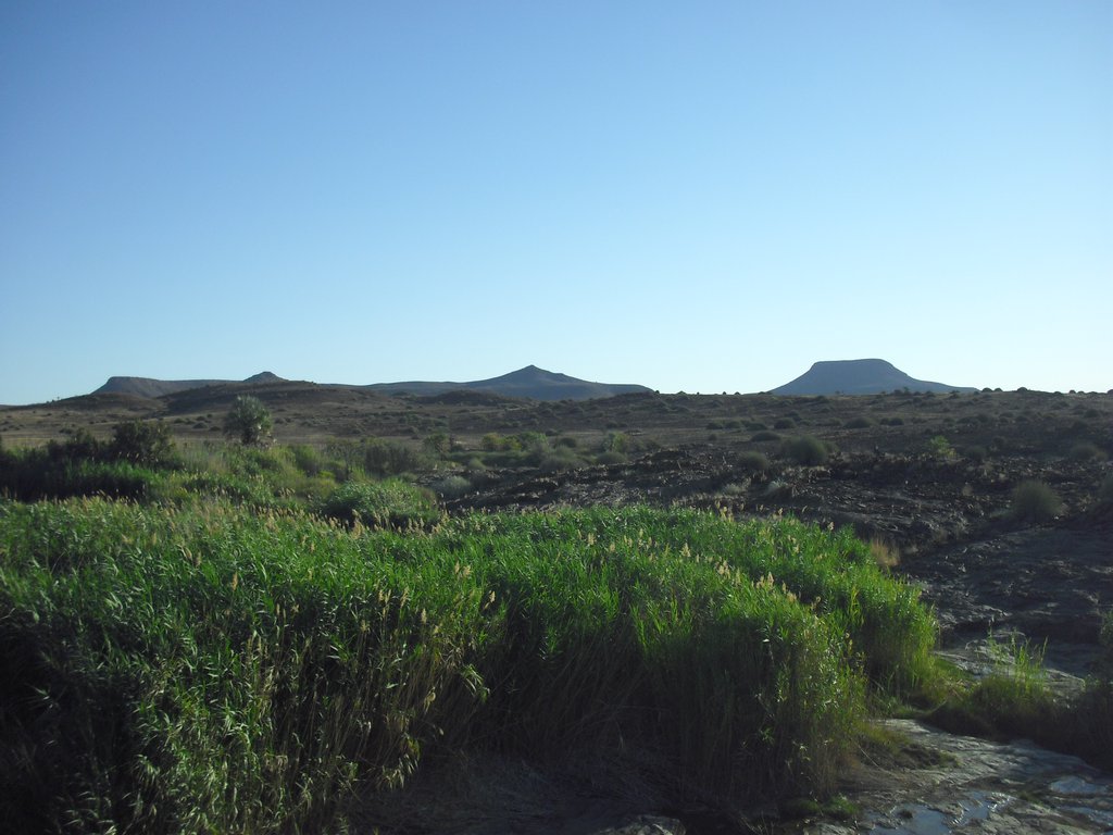 Image CIMG8219.JPG