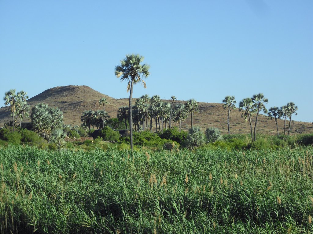 Image CIMG8220.JPG
