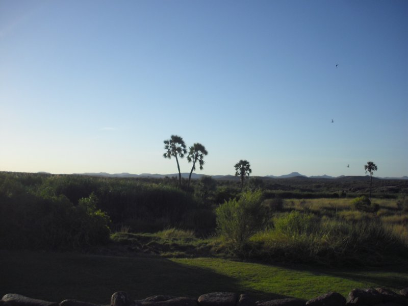 Image CIMG8222.JPG