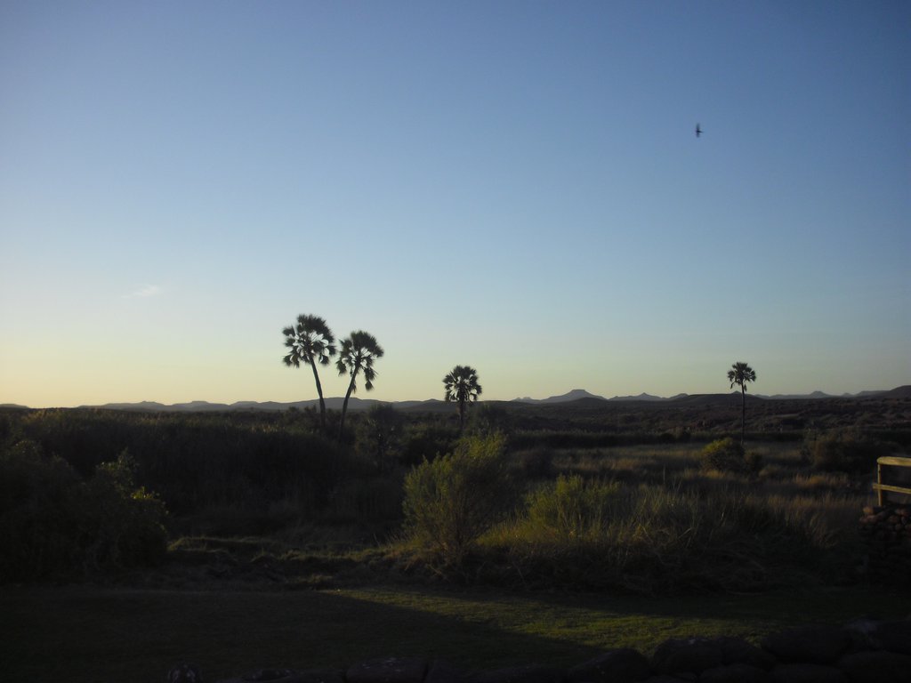 Image CIMG8226.JPG