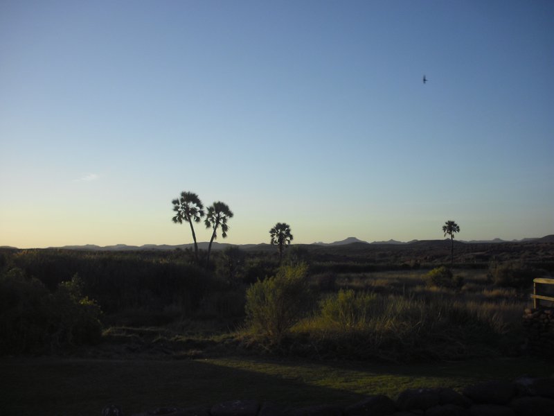 Image CIMG8226.JPG