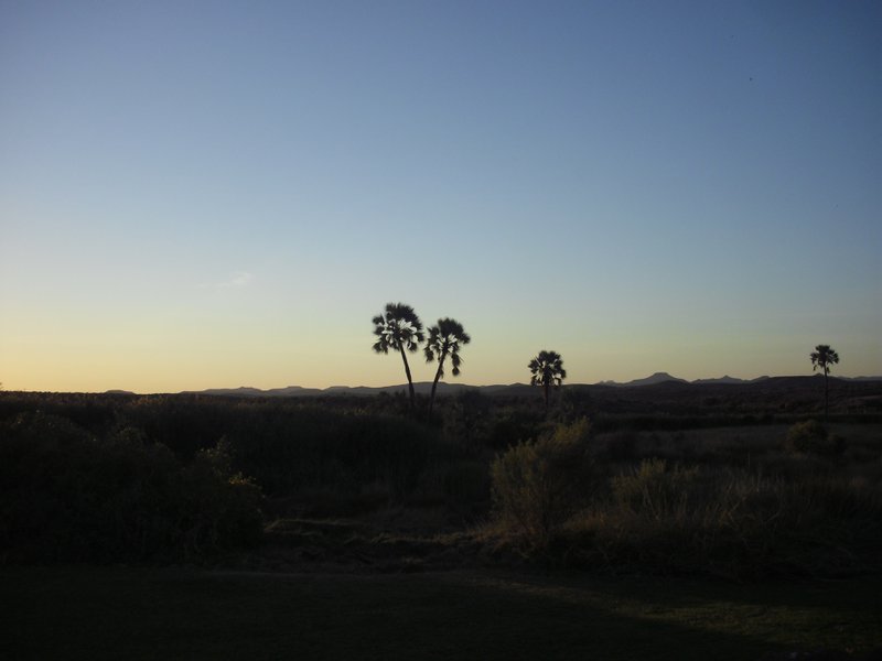 Image CIMG8227.JPG
