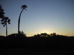 CIMG8230 thumb