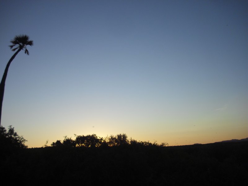 Image CIMG8232.JPG