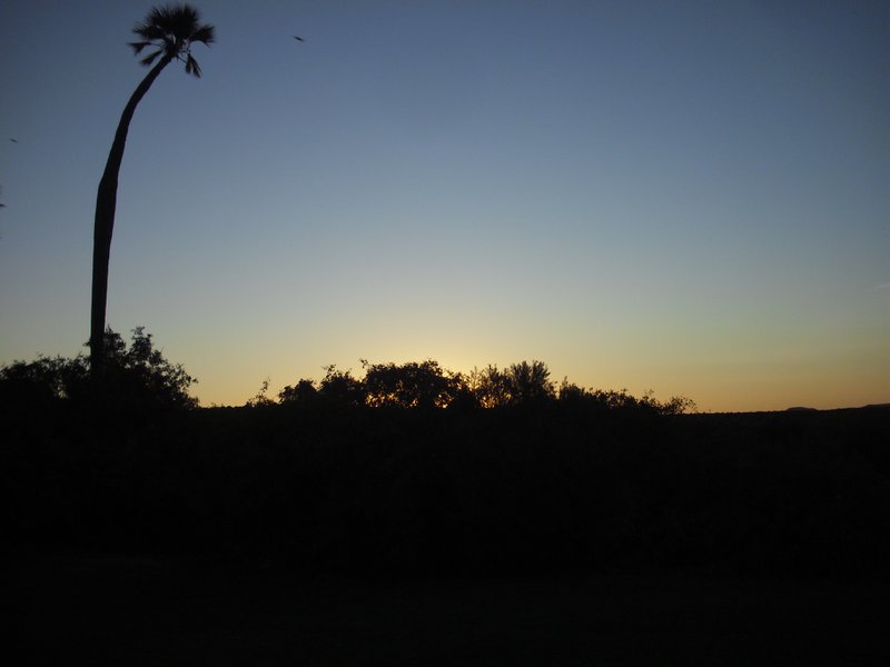 Image CIMG8233.JPG