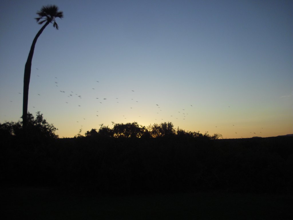 Image CIMG8234.JPG