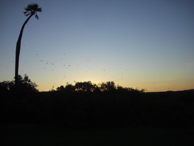 Image CIMG8234.JPG