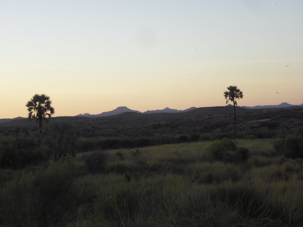 Image CIMG8236.JPG