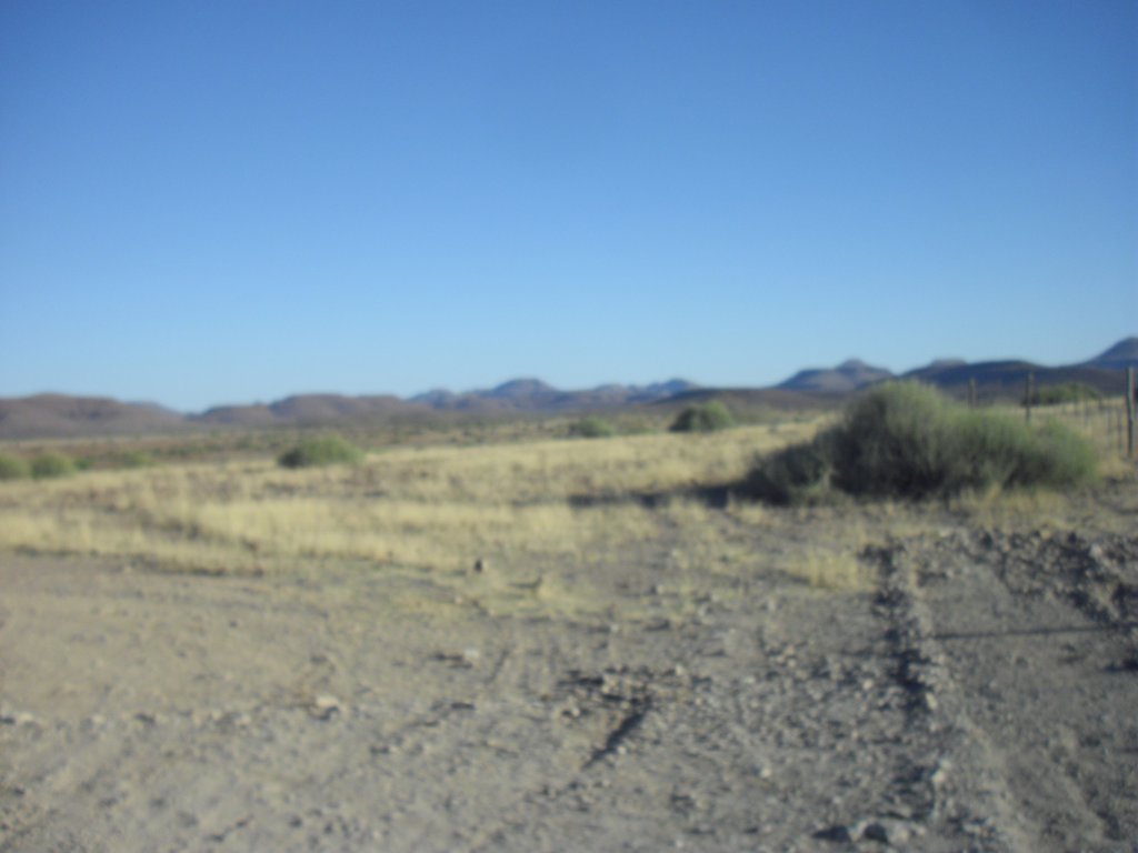 Image CIMG8243.JPG
