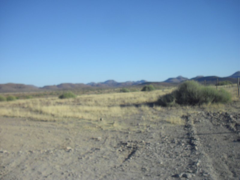 Image CIMG8243.JPG