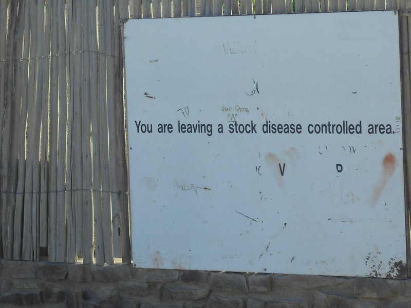Image CIMG8246.JPG
