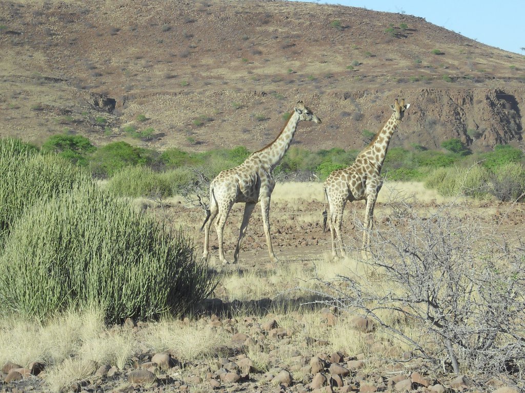 Image CIMG8249.JPG