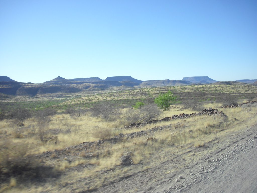 Image CIMG8250.JPG
