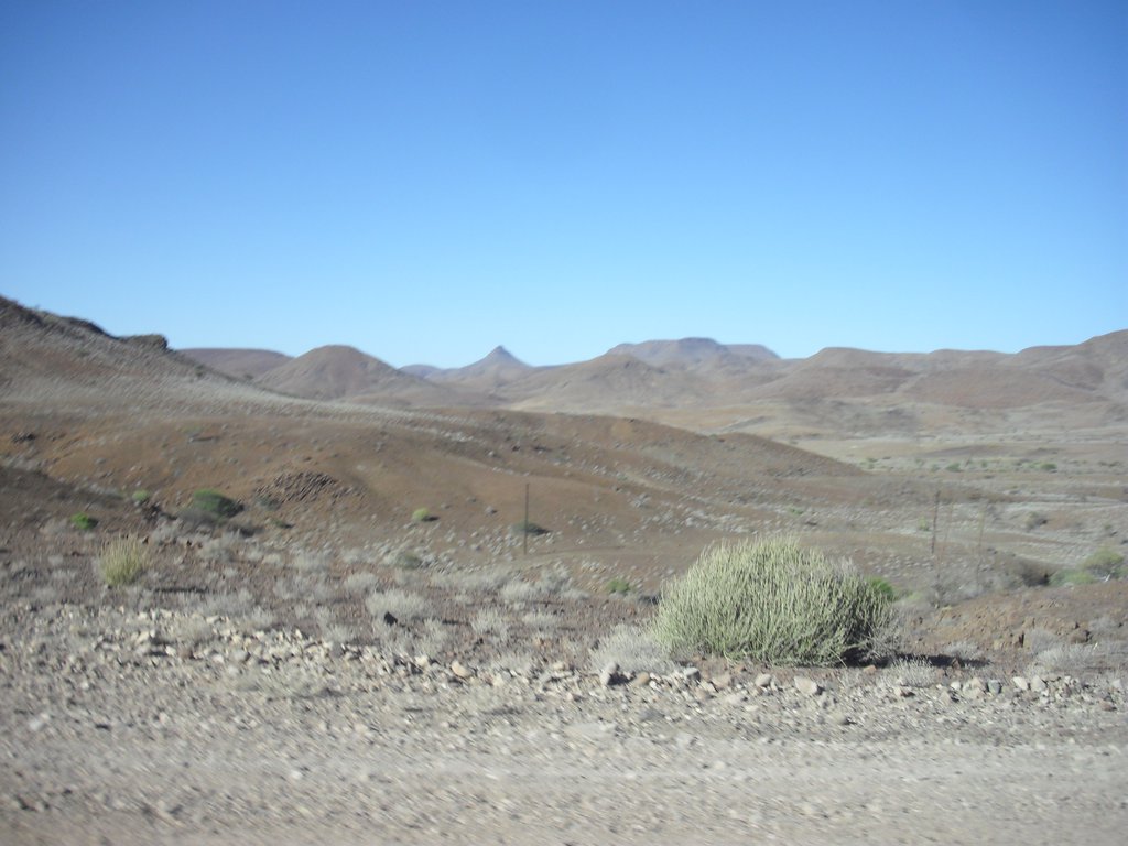 Image CIMG8254.JPG