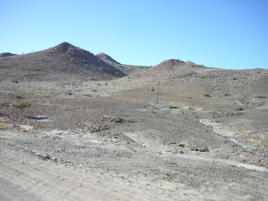 Image CIMG8255.JPG