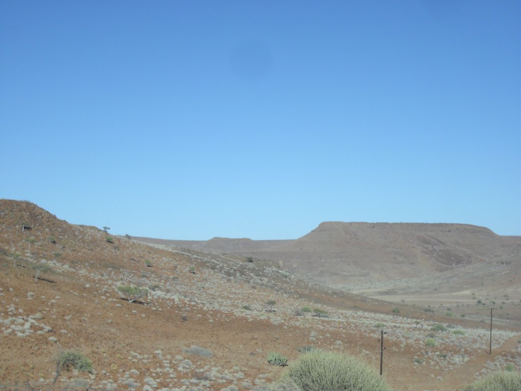 Image CIMG8257.JPG