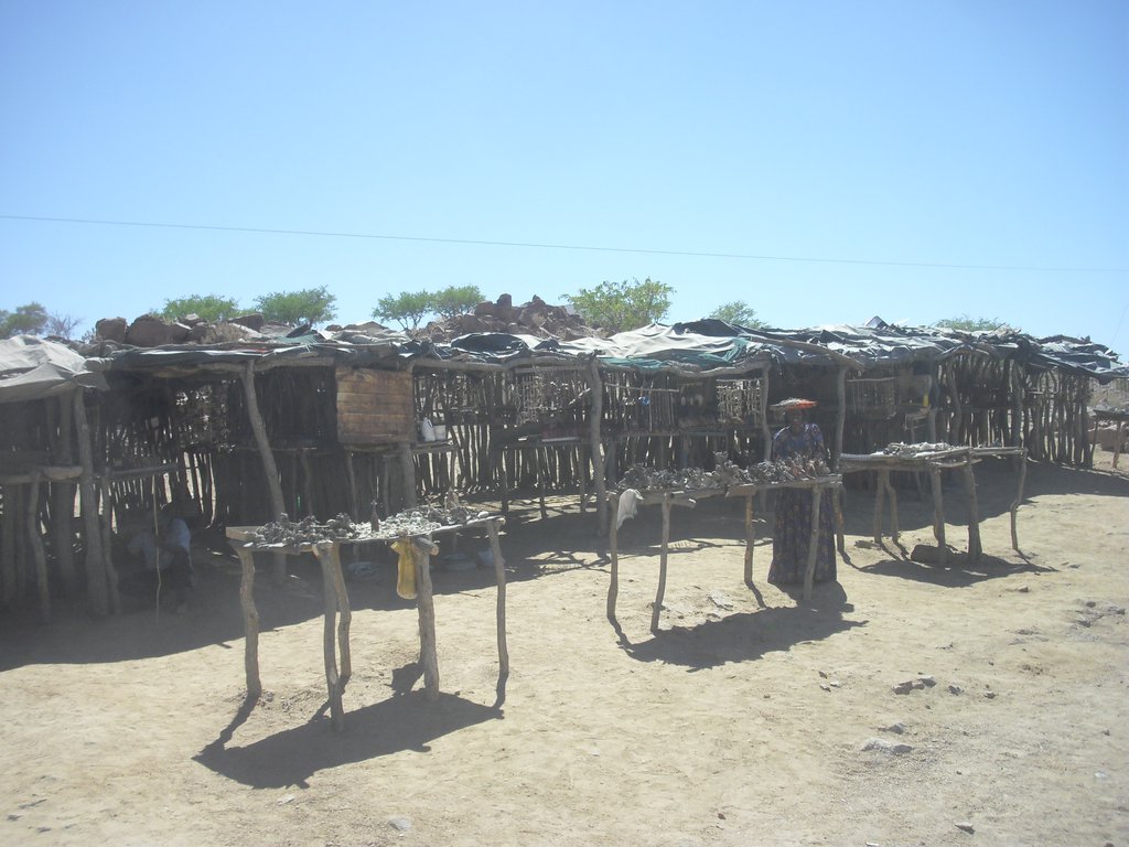 Image CIMG8266.JPG