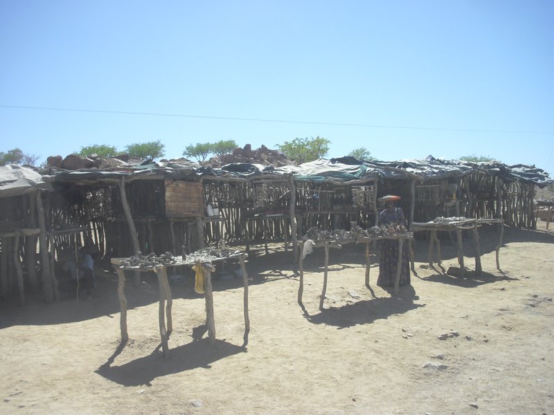 Image CIMG8266.JPG