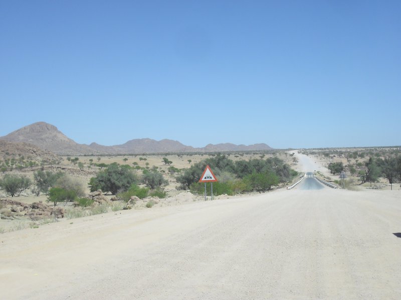 Image CIMG8277.JPG