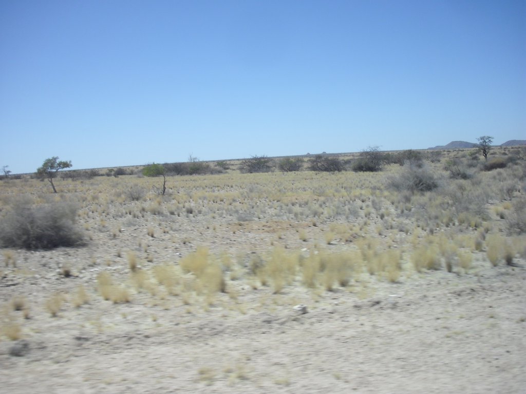 Image CIMG8280.JPG