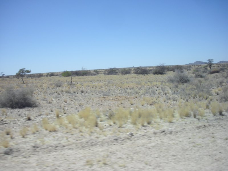 Image CIMG8280.JPG