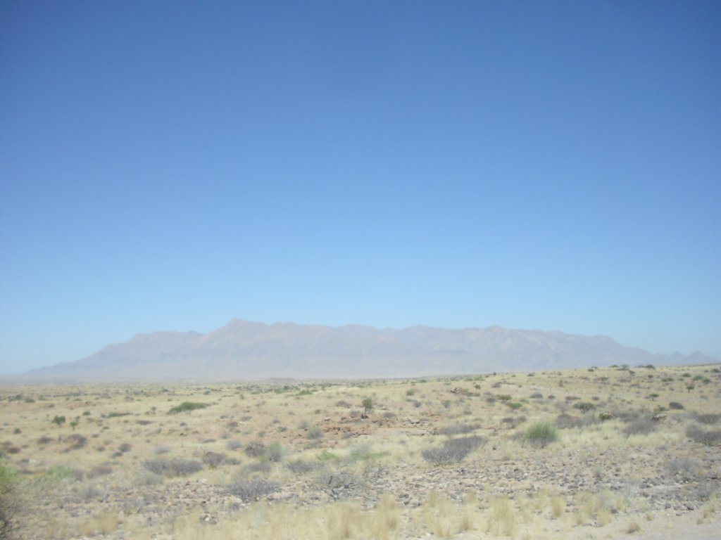 Image CIMG8282.JPG