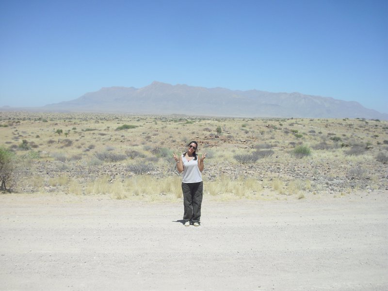 Image CIMG8284.JPG