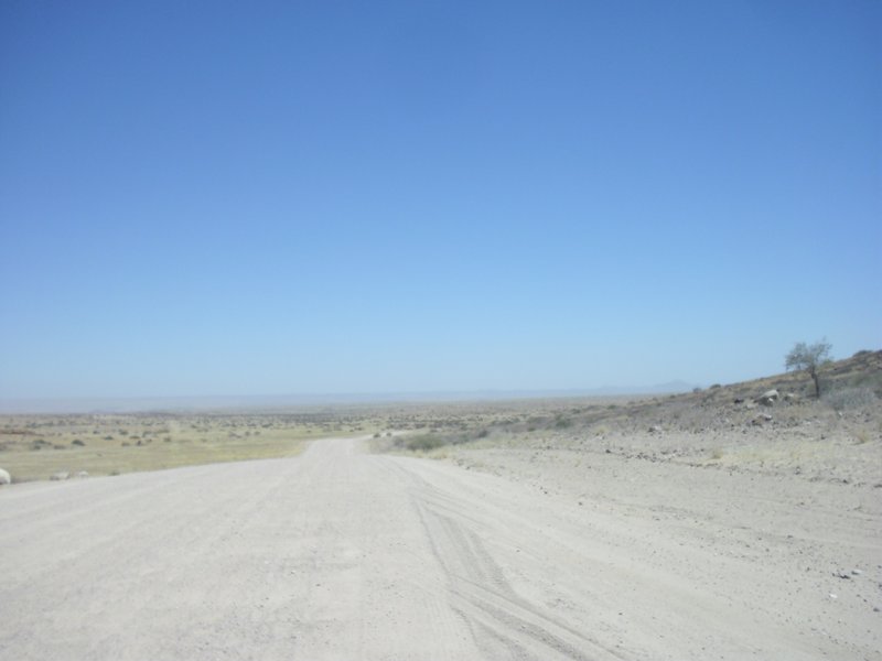 Image CIMG8285.JPG