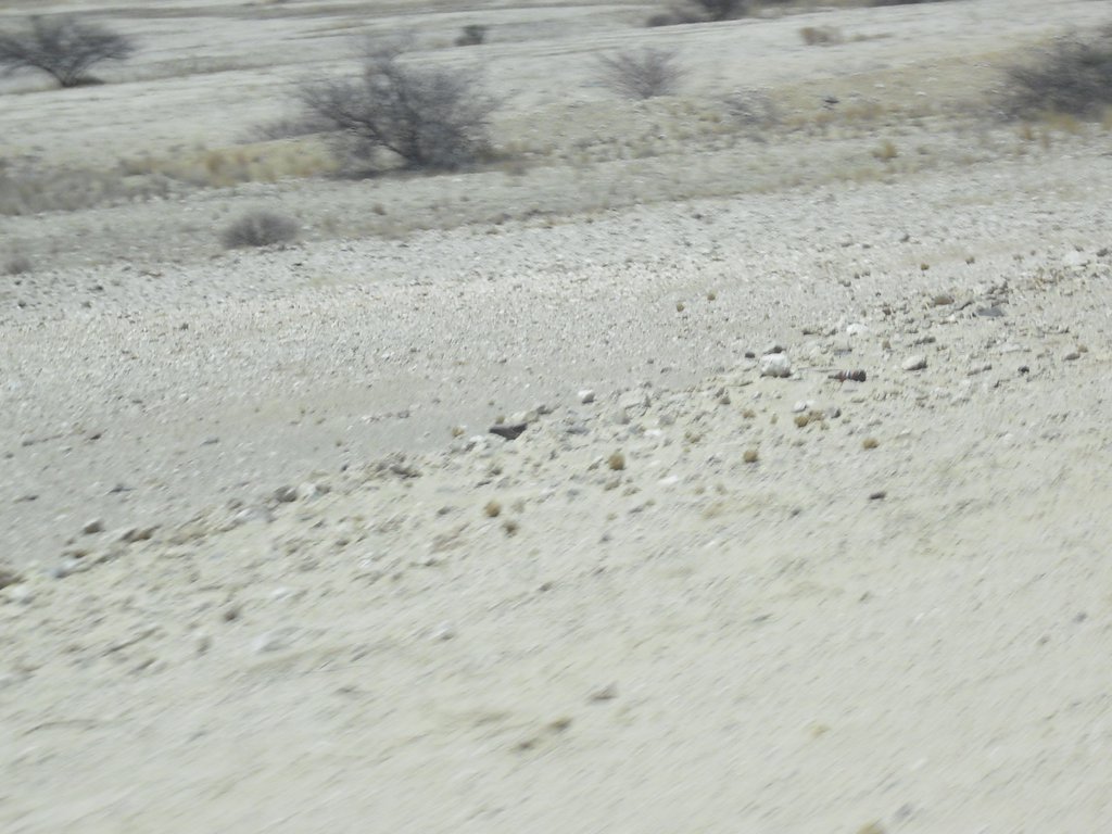 Image CIMG8292.JPG
