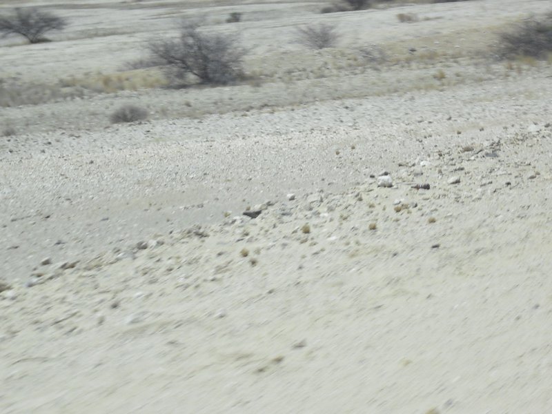 Image CIMG8292.JPG