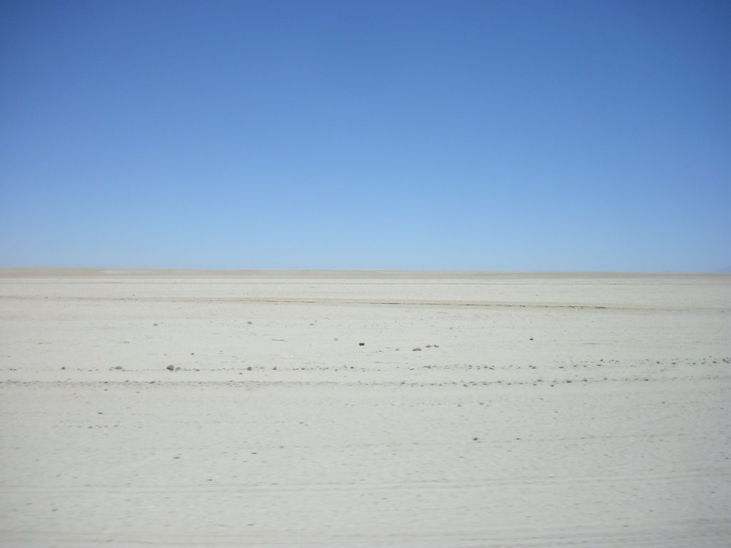 Image CIMG8294.JPG