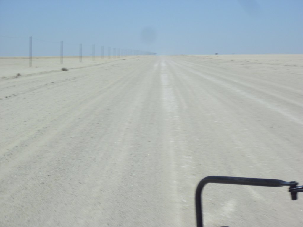 Image CIMG8297.JPG