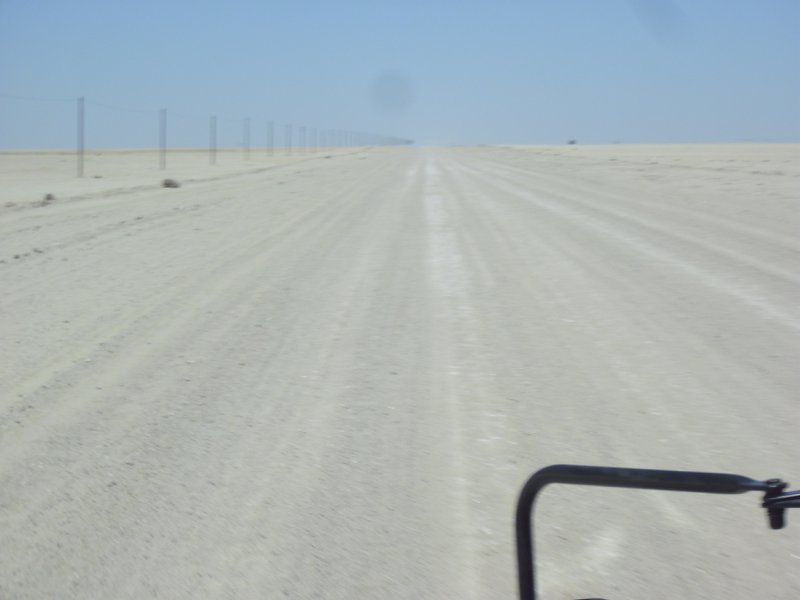 Image CIMG8297.JPG
