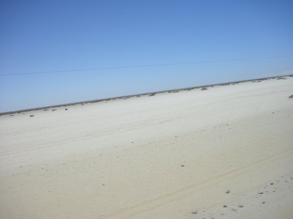 Image CIMG8301.JPG