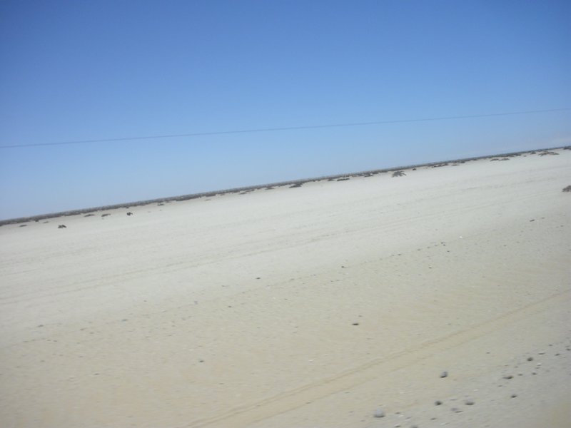 Image CIMG8301.JPG