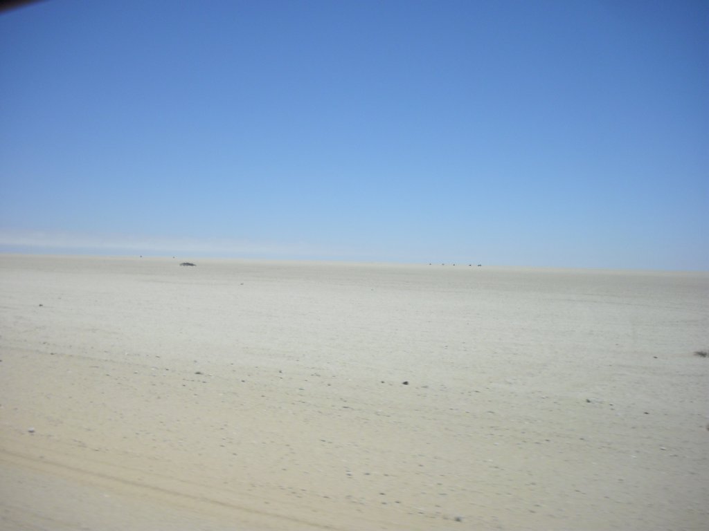 Image CIMG8302.JPG