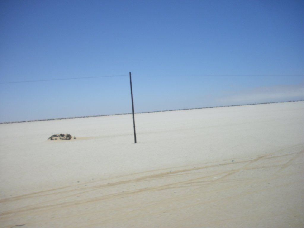 Image CIMG8305.JPG