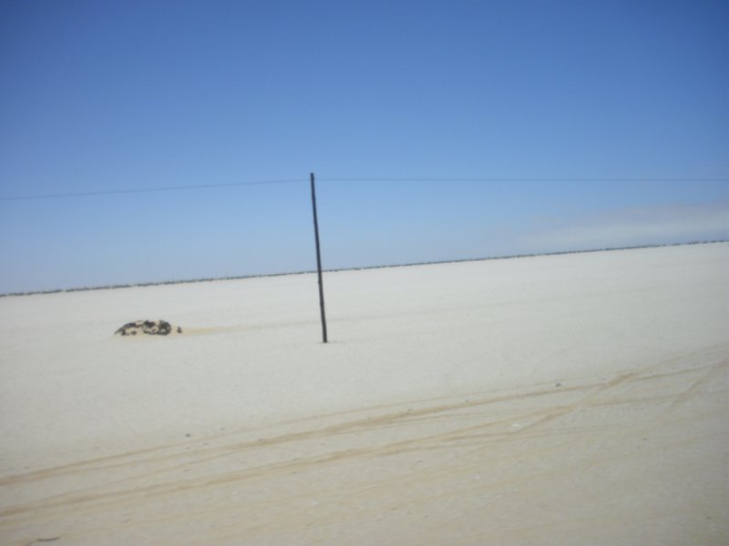 Image CIMG8305.JPG