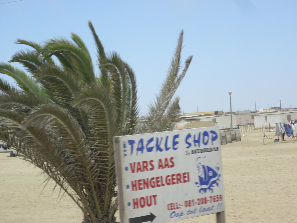 Image CIMG8310.JPG