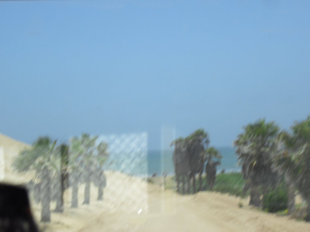 Image CIMG8318.JPG