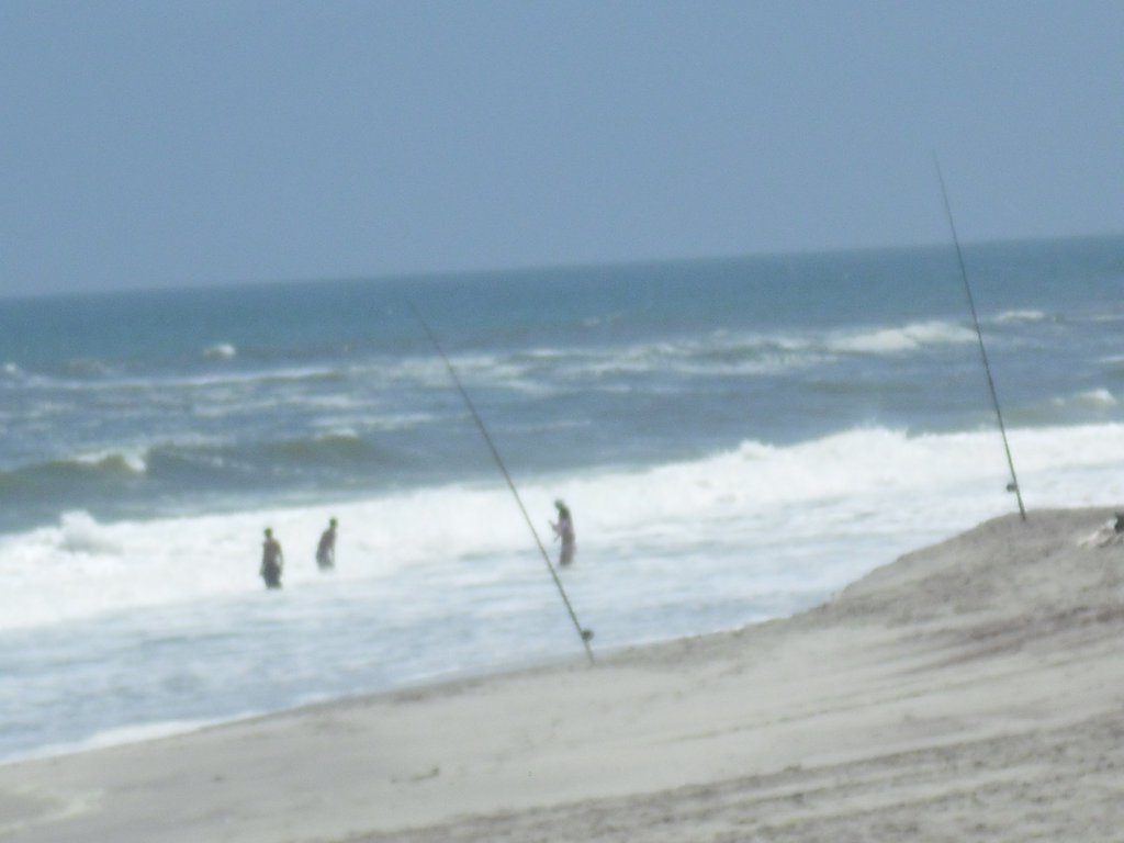 Image CIMG8323.JPG