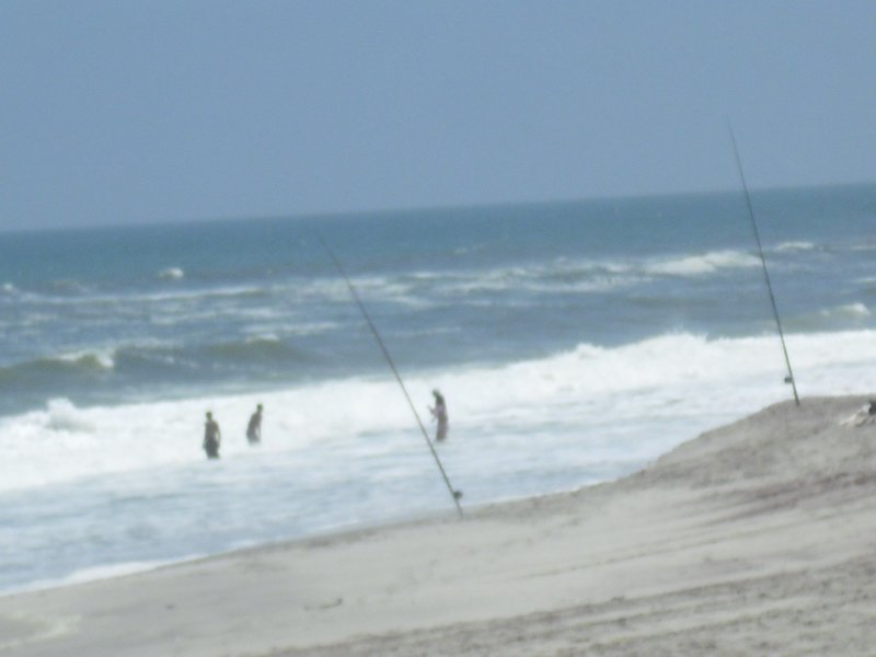 Image CIMG8323.JPG