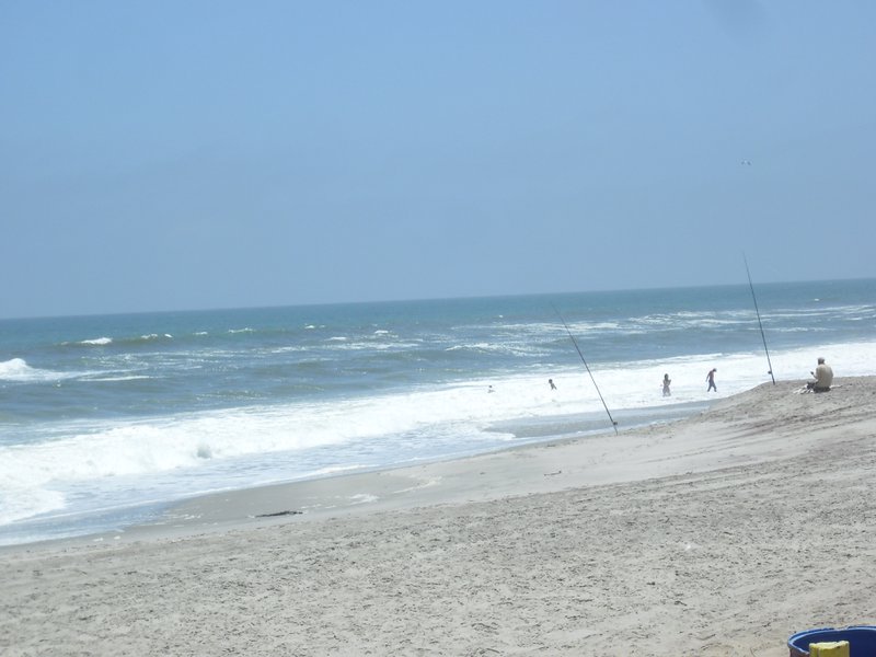 Image CIMG8324.JPG