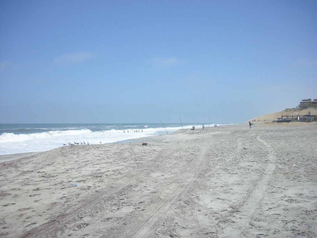 Image CIMG8325.JPG