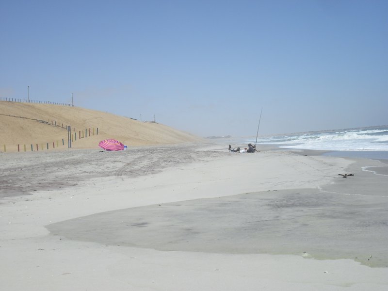 Image CIMG8339.JPG