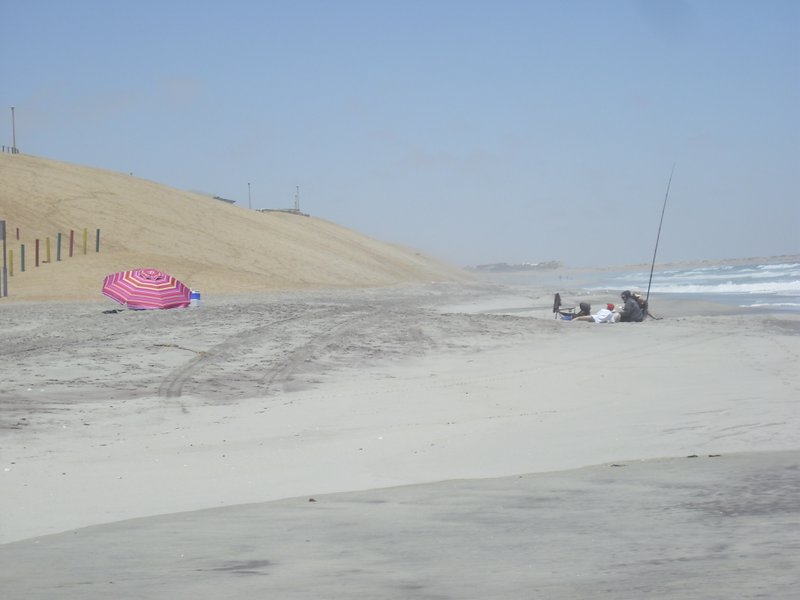 Image CIMG8340.JPG